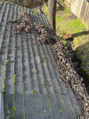 {{ custom_values.service_3 }} in {{custom_values.area_3})