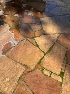 {{ custom_values.service_3 }} in {{custom_values.area_3})