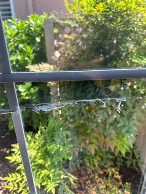 {{ custom_values.service_2 }} in {{custom_values.area_2})