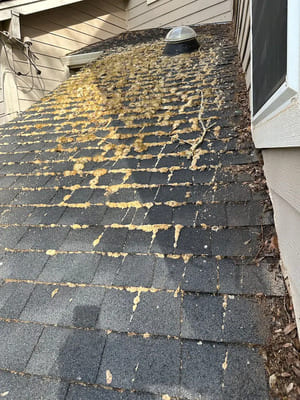 {{ custom_values.service_3 }} in {{custom_values.area_3})