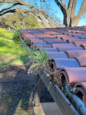 {{ custom_values.service_3 }} in {{custom_values.area_3})