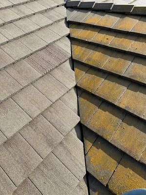 {{ custom_values.service_1 }} in {{custom_values.area_1})