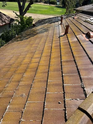 {{ custom_values.service_3 }} in {{custom_values.area_3})