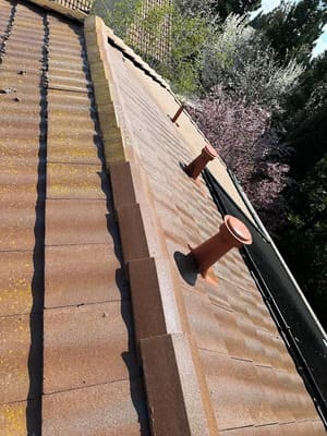 {{ custom_values.service_3 }} in {{custom_values.area_2})