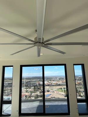 Moss removal in El dorado hills