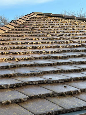 {{ custom_values.service_3 }} in {{custom_values.area_3})