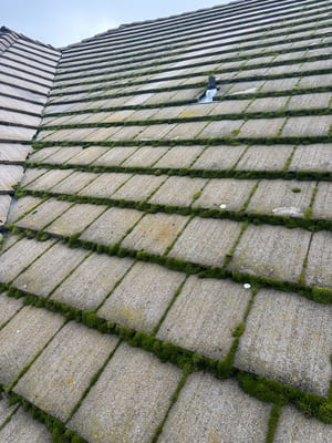 {{ custom_values.service_3 }} in {{custom_values.area_2})