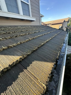 {{ custom_values.service_3 }} in {{custom_values.area_3})