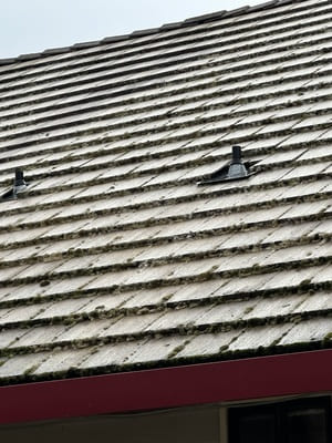 {{ custom_values.service_2 }} in {{custom_values.area_2})