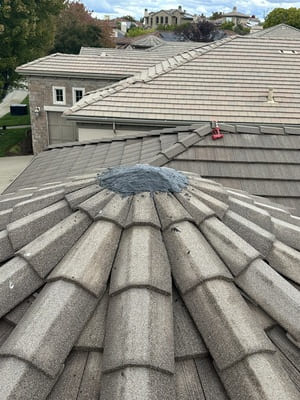 {{ custom_values.service_3 }} in {{custom_values.area_3})