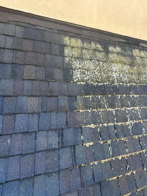 {{ custom_values.service_3 }} in {{custom_values.area_3})