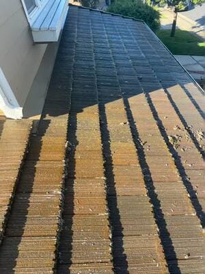 {{ custom_values.service_3 }} in {{custom_values.area_3})