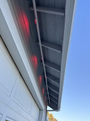 {{ custom_values.service_3 }} in {{custom_values.area_2})