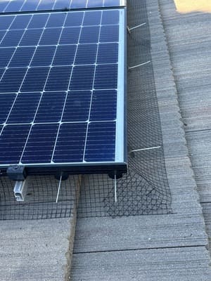 {{ custom_values.service_3 }} in {{custom_values.area_2})