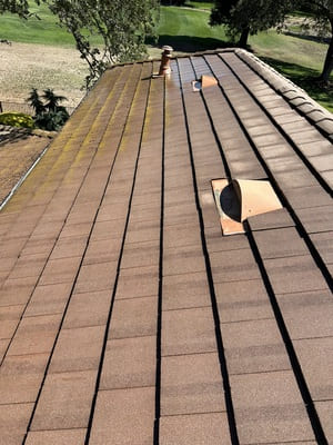 {{ custom_values.service_3 }} in {{custom_values.area_3})