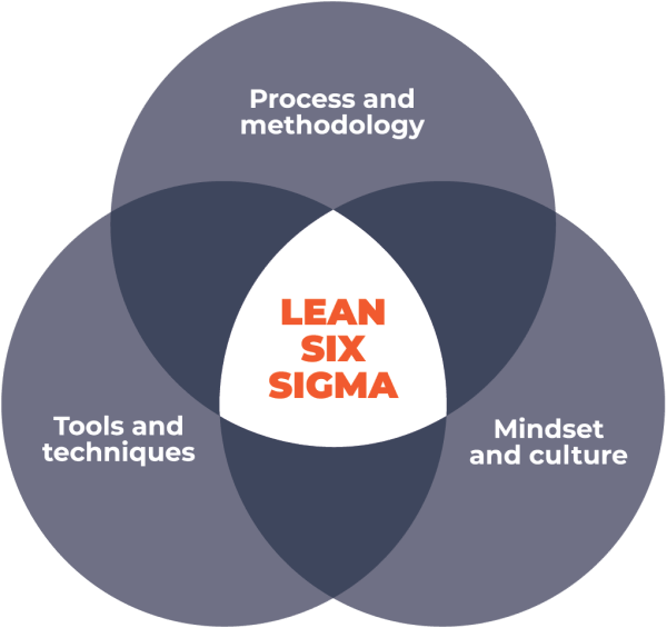 Lean Six Sigma Methodology