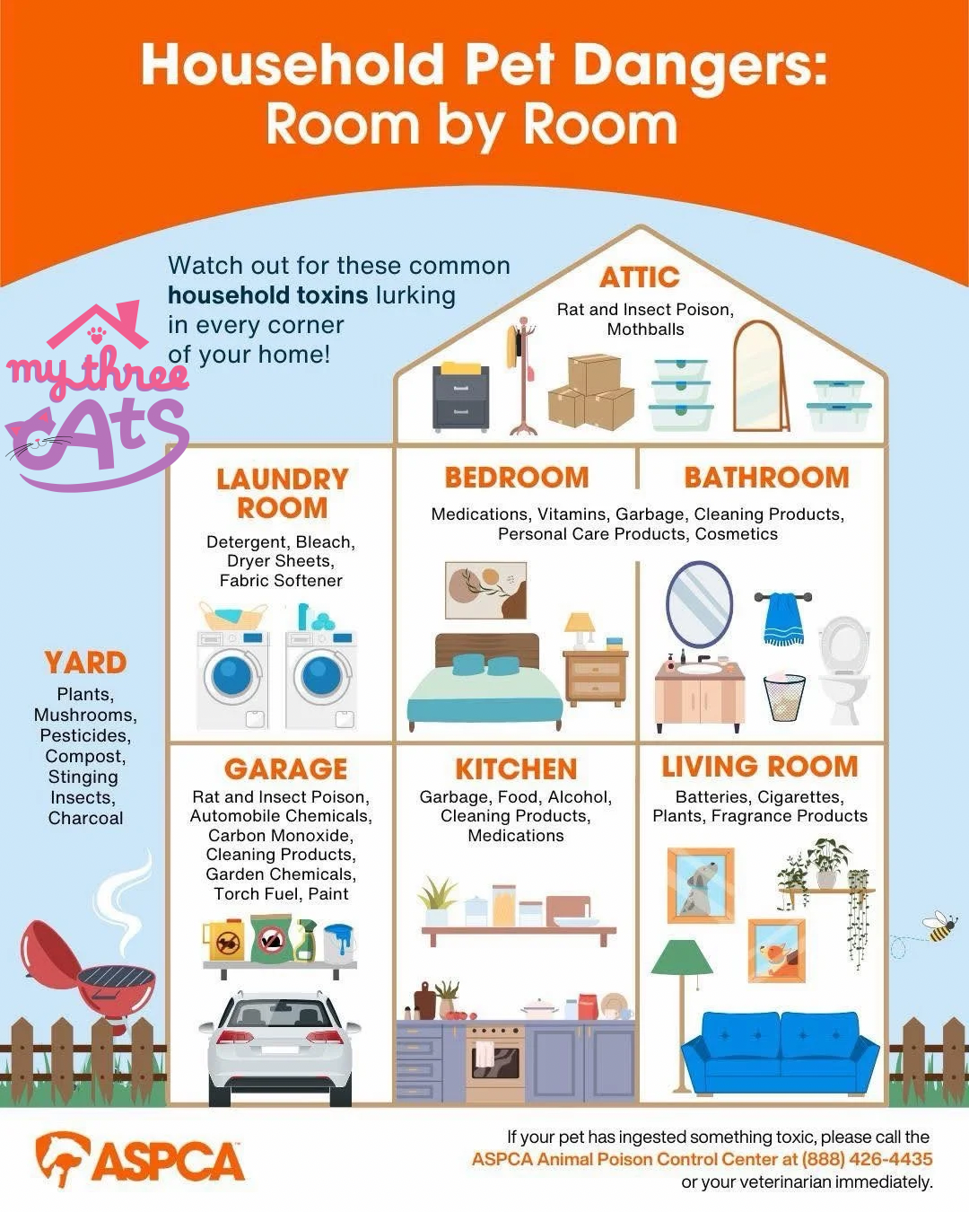 Cat toxins, poisonous to cats, household items poisonous to cats, feline toxins, feline toxicity