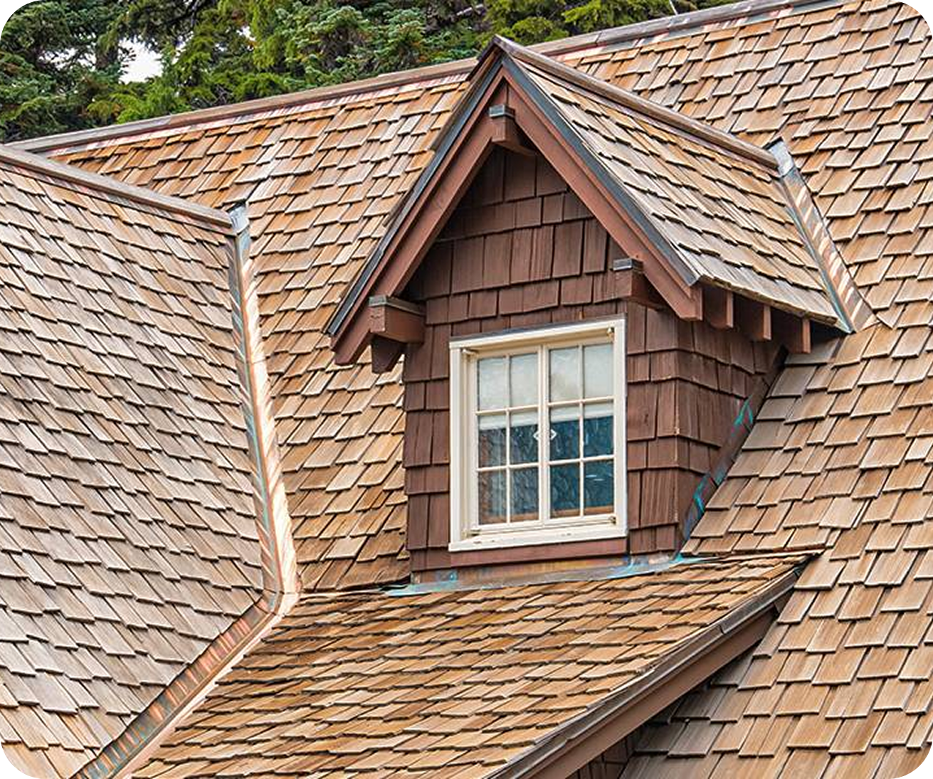 roof-washing-cleaning-hamptons-commercial-residential-exterior-professional-Interior