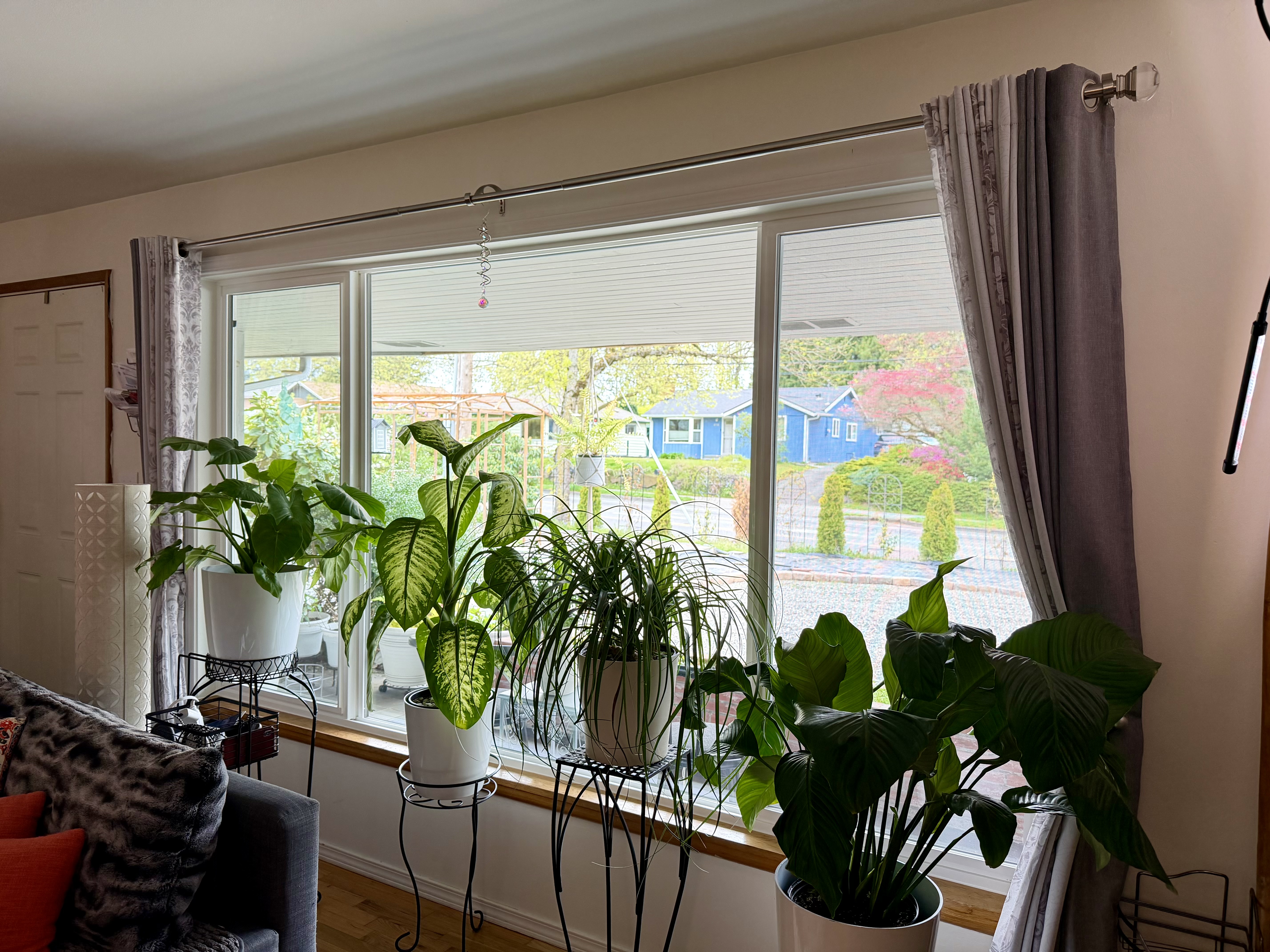 Full home window replacement