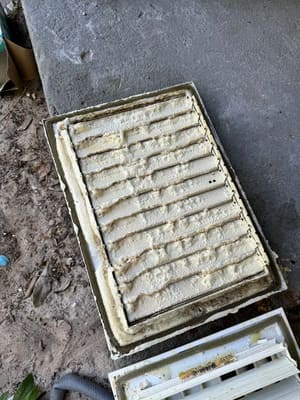 {{ custom_values.service_3 }} in {{custom_values.area_2})