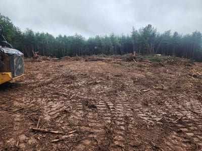 Forestry Mulching in Lynchburg,VA