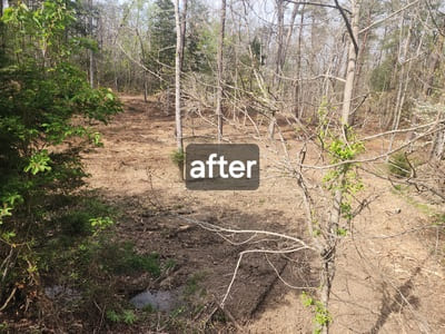 Land Management in Rustburg, VA