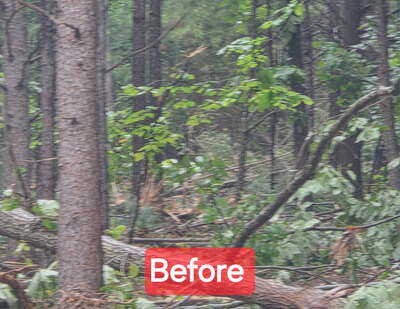 Spread gravel in Rustburg, VA