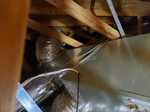 {{ custom_values.service_3 }} in {{custom_values.area_6})