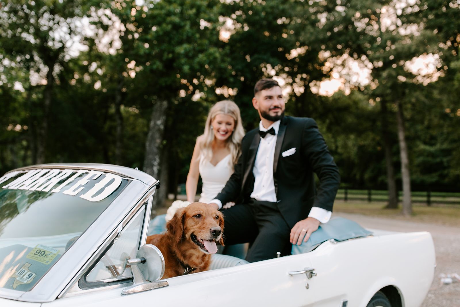 Newlyweds and their golden retriever in a white vintage convertible