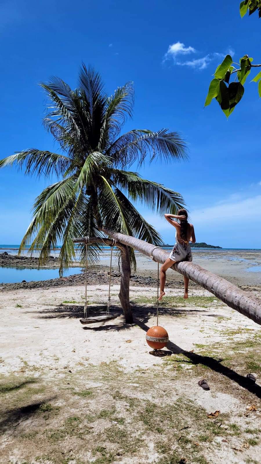 Koh Tan Koh Tan