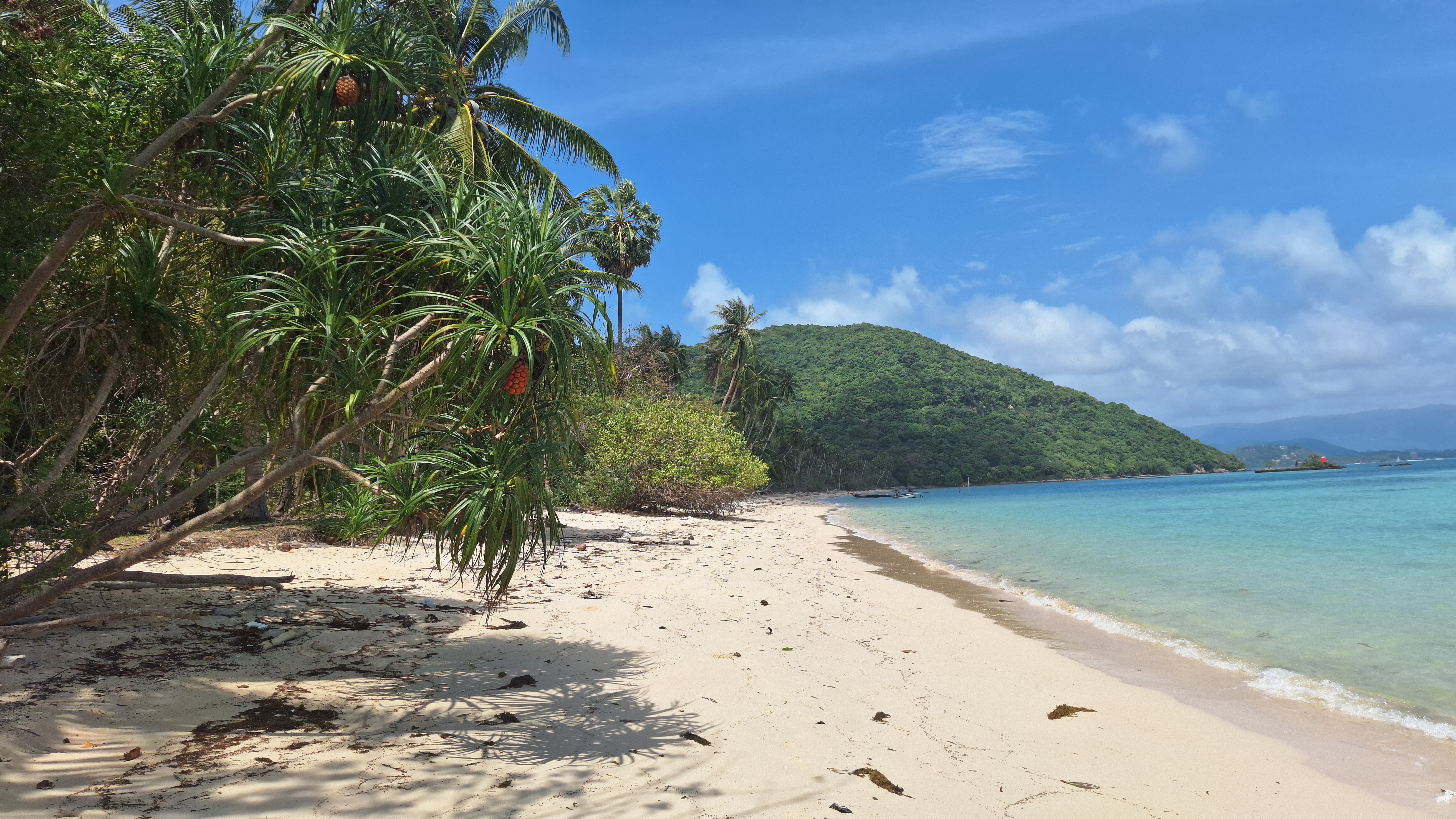 Koh Tan Beach Koh Tan Beach