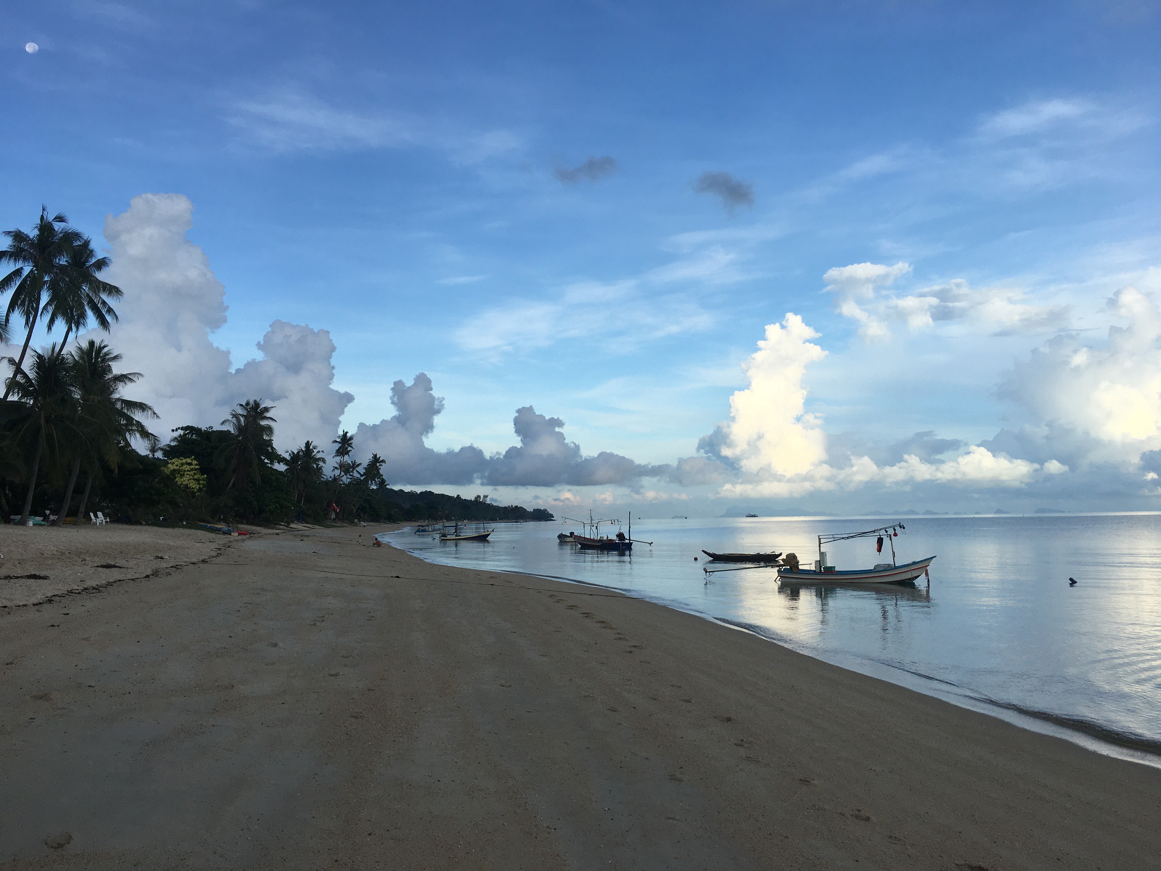 Bang Por Beach Fishing Boats