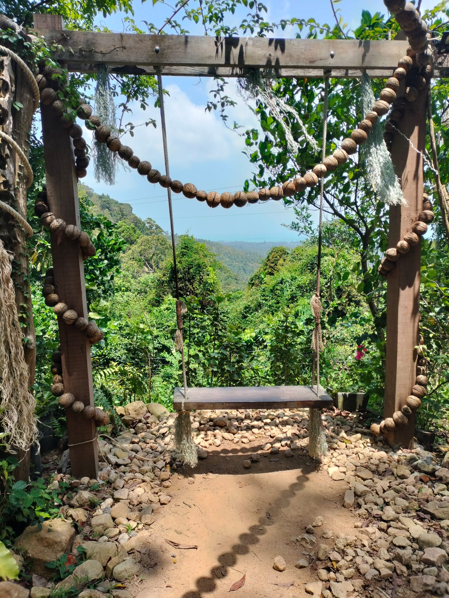 Swing with a view