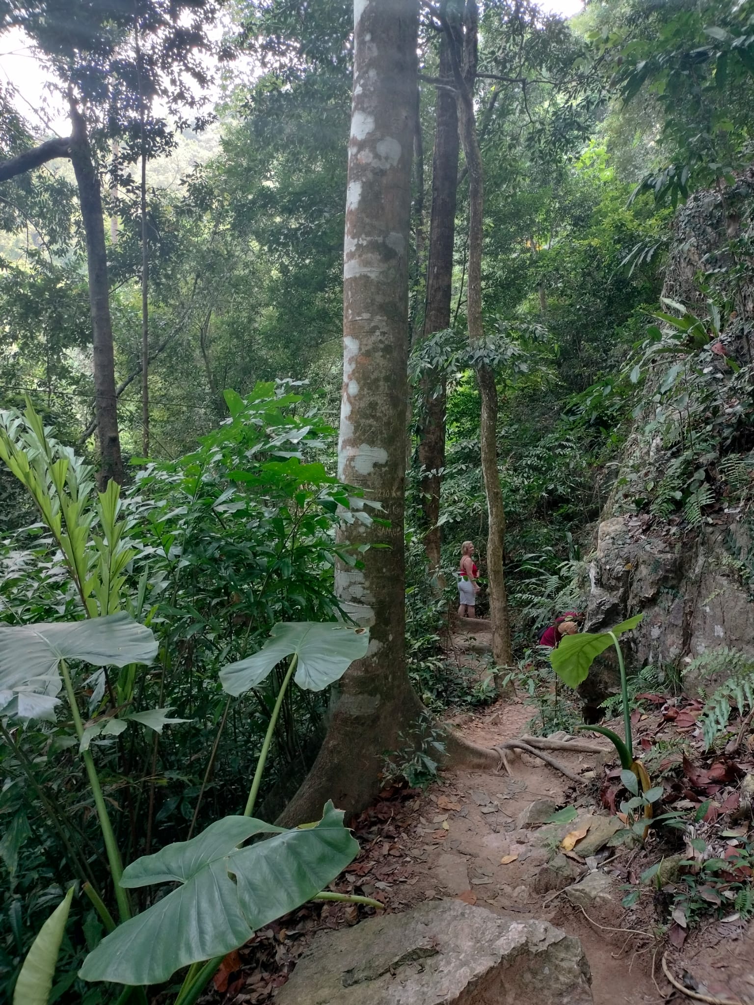 Hike to Tan Rua Falls