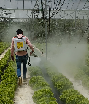 Safe High Tech Non Pesticide Nano Spray