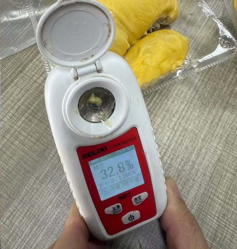 Refractometer reading 32.8 percent sugar on air freighted durian flesh