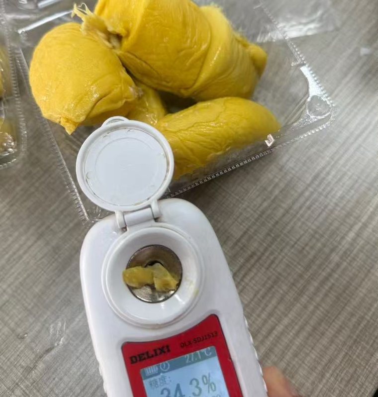 Refractometer reading 34.3 percent sugar on sea freighted durian flesh
