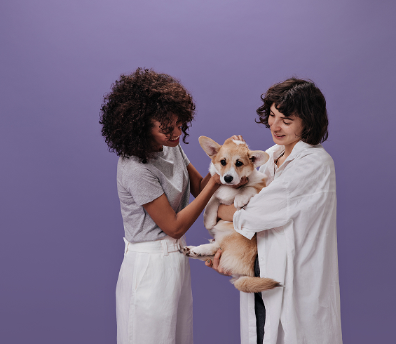 pet-care-inner