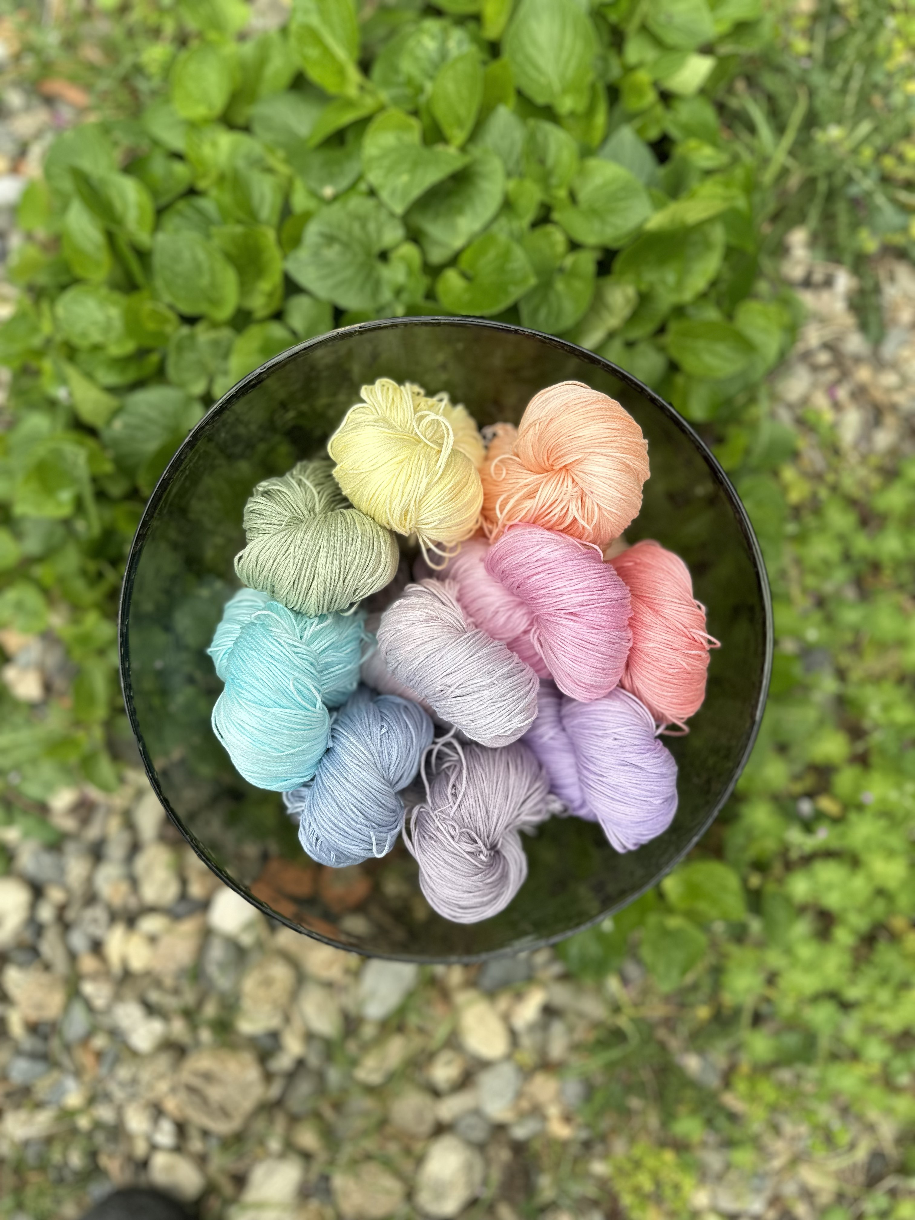 Tom & Lily Creations