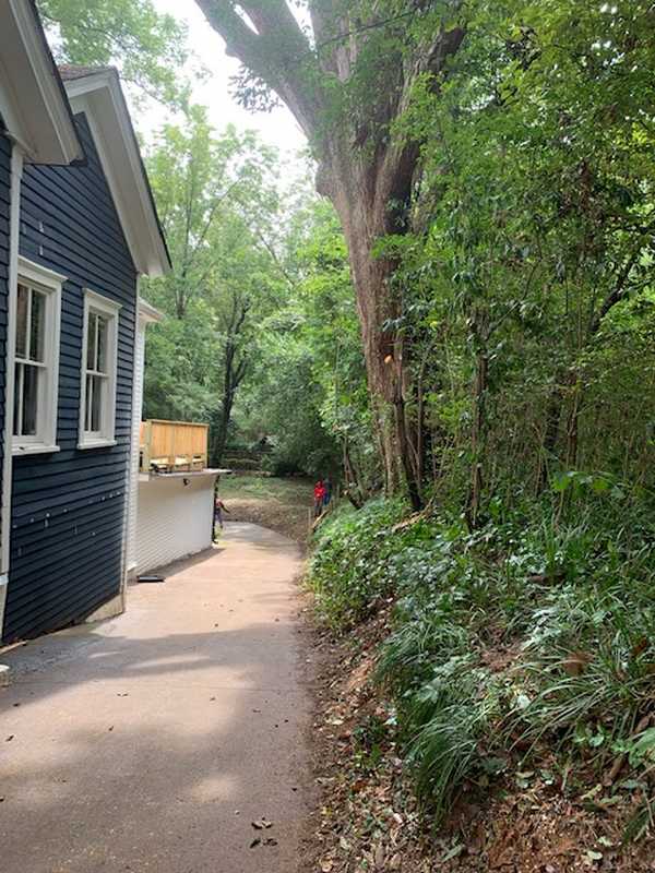 Tree and outdoor property work completed by the 7 Brothers crew