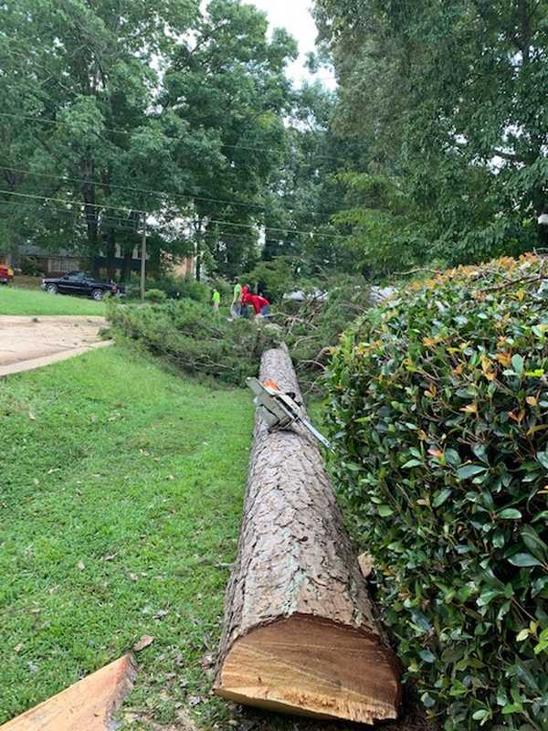 Tree and outdoor property work completed by the 7 Brothers crew