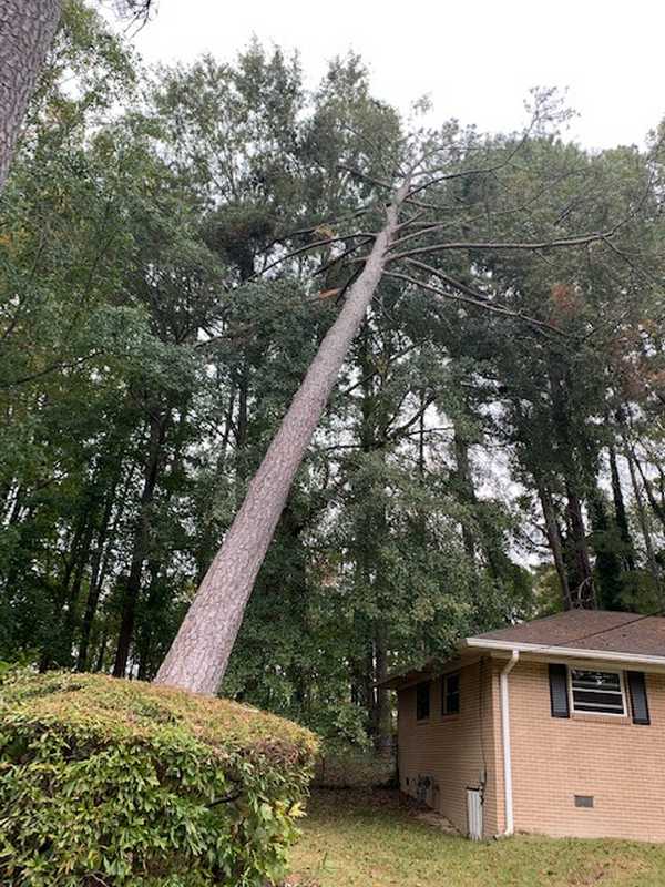 Tree and outdoor property work completed by the 7 Brothers crew