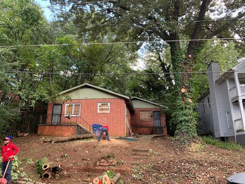Tree and outdoor property work completed by the 7 Brothers crew