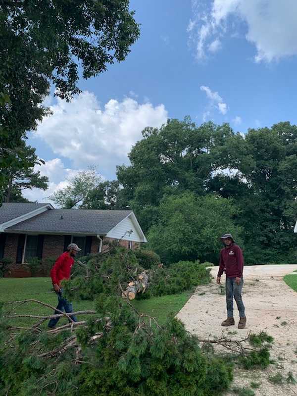Tree and outdoor property work completed by the 7 Brothers crew