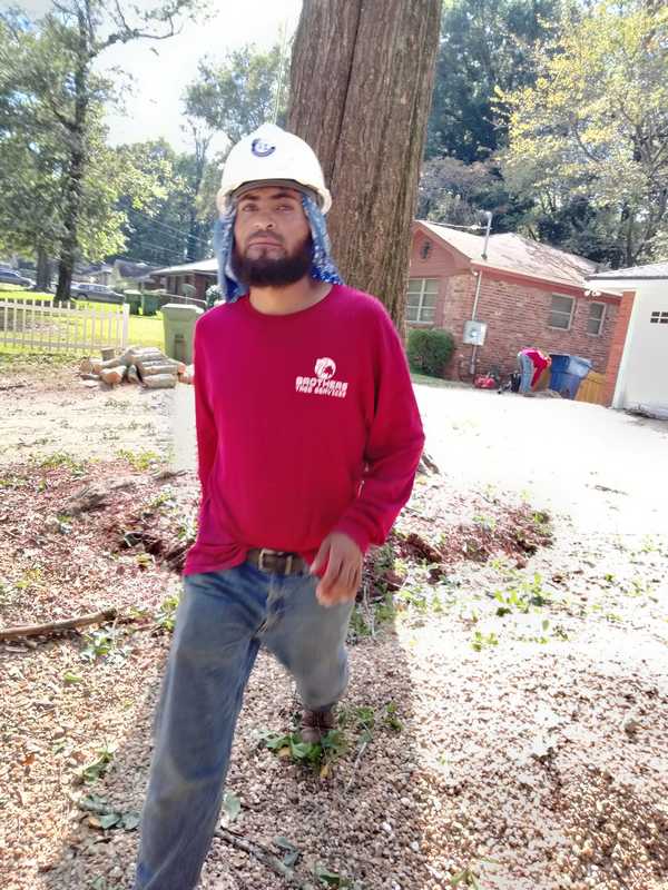 Tree and outdoor property work by 7 Brothers Tree Service and Lawn