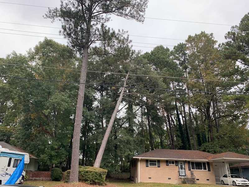 Tree and outdoor property work completed by the 7 Brothers crew