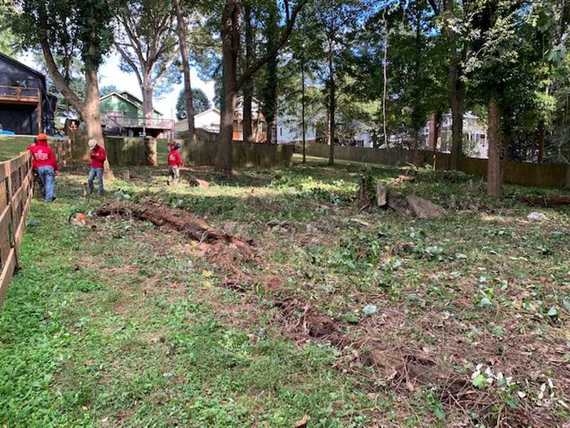 Completed tree and property work by 7 Brothers Tree Service