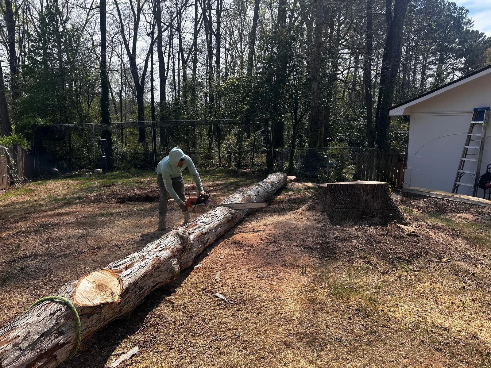 Outdoor property clearing carried out by the 7 Brothers team