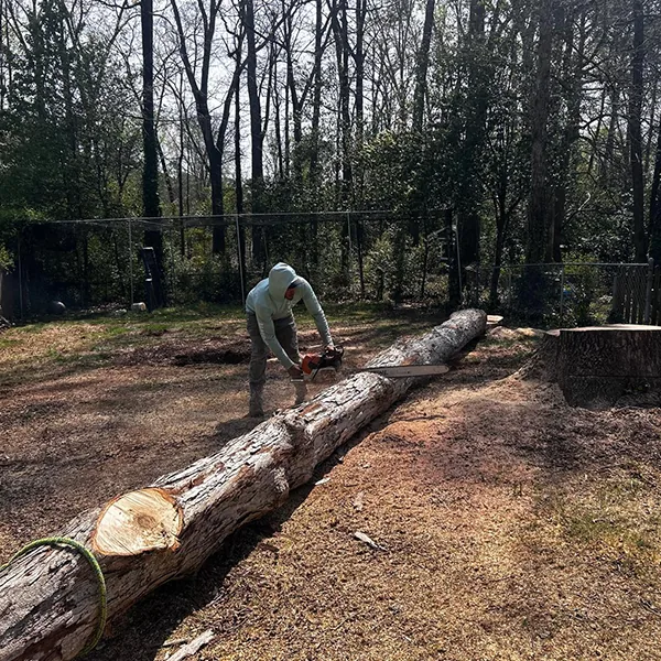 Tree removal underway on a property served by 7 Brothers Tree Service
