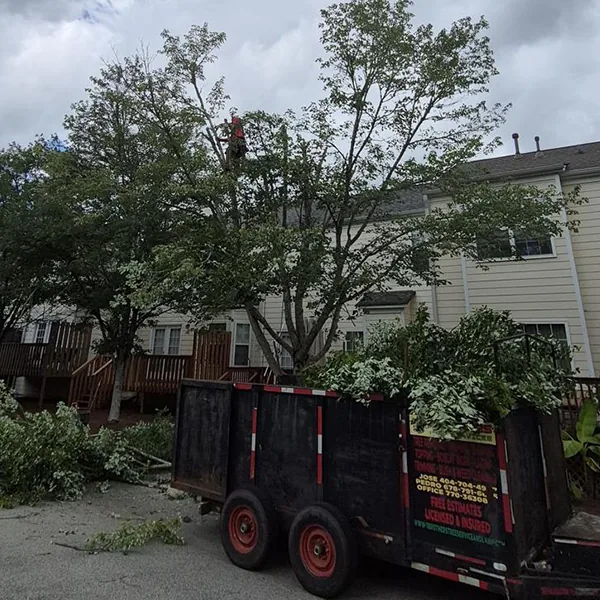 7 Brothers Tree Service and Lawn crew maintaining a property